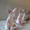 Nacktkatzen-Statue aus Kunstharz – Zen-Dekoration & Meditationsgeschenk