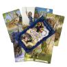 Günlük Cadı Tarot Kartları: Kehanet ve Vizyonlar için 78 Kartlık Kehanet Destesi