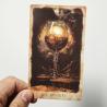 Horoskop-Tarot-Deck | 80 Karten mit Goldrand & RWS-System