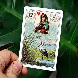 Lenormand Kart Destesi: Fransızca ve İngilizce İki Dilli Tarot Falı