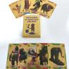 Cartes à collectionner italiennes Brainrot : Tralalero, TungTung et plus !