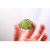 Pendentif en moldavite - Pierre d'énergie naturelle | Lot de 5 à 6 g