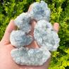Cristallo di celestina naturale: pietra grezza e cluster di druse (3,5-4 cm)
