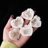 Amas de cristaux de quartz clair : Guérison énergétique et décoration intérieure