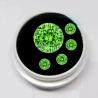 Perles d'émeraude tsavorite : rondes naturelles, 11 mm, 5,0 ct, pureté VVS