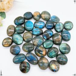 Pierre de palmier en labradorite bleue : Guérison Reiki et décoration