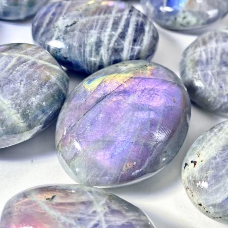 Pierre de palmier en labradorite à reflets violets | Pierre précieuse naturelle