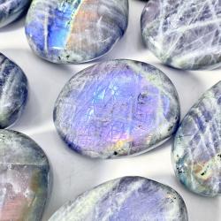 Pierre de palmier en labradorite à reflets violets | Pierre précieuse naturelle