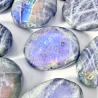 Pierre de palmier en labradorite à reflets violets | Pierre précieuse naturelle