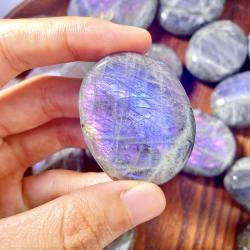 Pierre de palmier en labradorite à reflets violets | Pierre précieuse naturelle