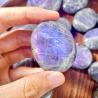 Pierre de palmier en labradorite à reflets violets | Pierre précieuse naturelle