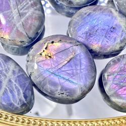 Pierre de palmier en labradorite à reflets violets | Pierre précieuse naturelle