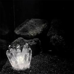 Cristaux de quartz blanc en grappes : Guérison et décoration naturelles