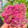 Corindon rouge scintillant : réactif aux UV, au rose et au vert
