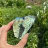 Cristaux de labradorite brute : pierres naturelles en gros pour la joaillerie
