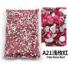 Strass en résine rouge (2-6 mm) - Lot de strass à dos plat pour loisirs créatifs