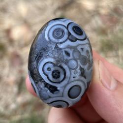 Siyah Sardonyx Akik - Reiki ve Dekorasyon İçin Doğal Mineral Örneği
