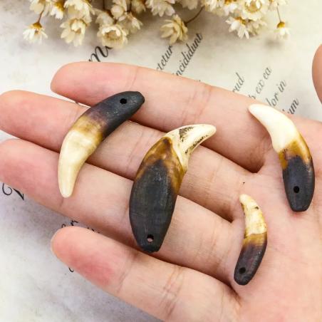Ciondoli per collana con zanne di animali grezze - Confezione da 2 gioielli fai da te