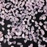 Gravier de quartz rose naturel - Cristaux pour le Reiki et les aquariums