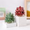Natural Crystal Fox Statue - Reiki Healing & Feng Shui Decor