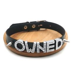 Collier ras du cou à rivets personnalisé sur le thème des chats - Personnalisez votre style