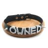 Collier ras du cou à rivets personnalisé sur le thème des chats - Personnalisez votre style