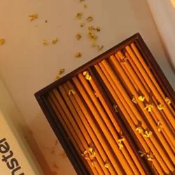 Coffret d'encens Palo Santo et Sauge Blanche - Aromathérapie Naturelle