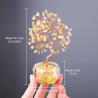 Ensemble de 7 cristaux pour les chakras : Améliorez votre chance et votre énergie grâce à la décoration Feng Shui