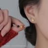 Boucles d'oreilles Rose Noire - Acier inoxydable et argent