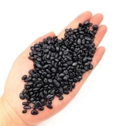 Gravier de shungite et quartz : Guérison des chakras, purification énergétique