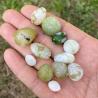 Geode di sardonice verde: cristallo curativo e decorativo per i chakra