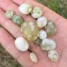 Geode di sardonice verde: cristallo curativo e decorativo per i chakra
