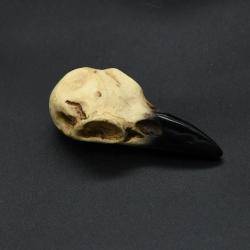 Ciondolo a forma di teschio di corvo vichingo: collana punk da uomo, stile vintage norreno
