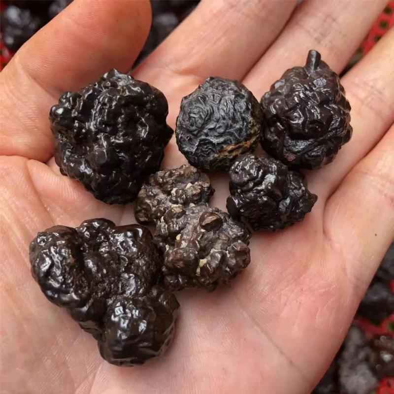 Pierres prophétiques d'Égypte : Limonite naturelle pour la méditation et les chakras