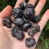 Pierres prophétiques d'Égypte : Limonite naturelle pour la méditation et les chakras