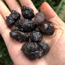Pierres prophétiques d'Égypte : Limonite naturelle pour la méditation et les chakras