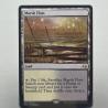KTK Fetch Lands: Magic The Gathering - Arid Mesa, Marsh Flats ve Daha Fazlası
