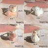 Cute Animal Keychain Set: Alpaca, Elk, Capybara & More!