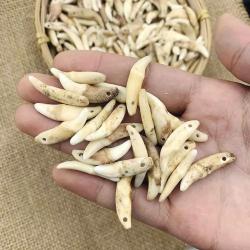 Pendentifs en dents naturelles en gros : Breloques crocs tribaux et colliers à faire soi-même