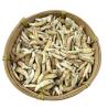 Pendentifs en dents naturelles en gros : Breloques crocs tribaux et colliers à faire soi-même